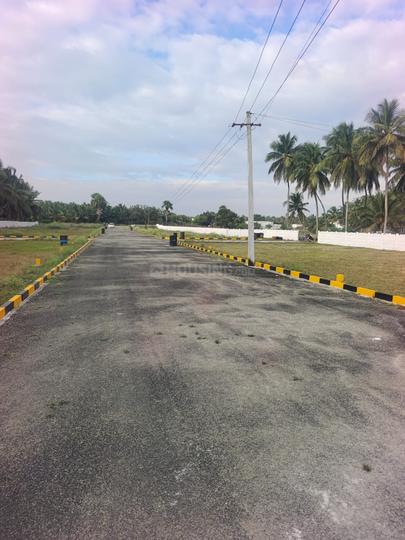 Thamaraikulam Main Image 1