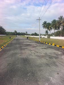 Thamaraikulam Plot View 1