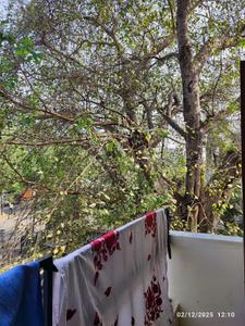 Balcony Image of 1000 Sq.ft 2 BHK Apartment / Flat for sale in Azad Nagar Kanpur for Rs. 4500000