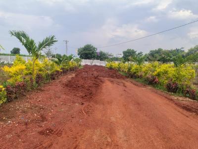 Residential Plot