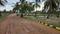 Melur Main Image 1