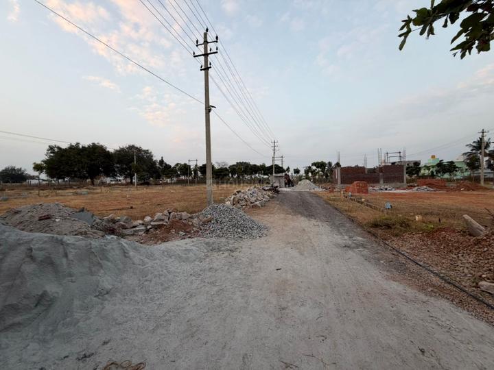 Frontline estate Main Image 1