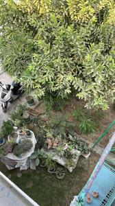 Image of 550 Sq.ft 1 RK Studio for rent in Nagla Rambal, Agra for Rs. 8000