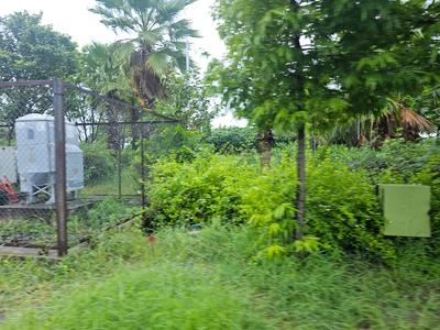 Image of 1264 Sq.ft Residential Plot / Land for sale in DLF Gardencity, Manglia, Indore for Rs. 5680000