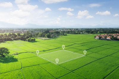 Image of 120 Sq.ft Residential Plot / Land for sale in Barsana, Mathura for Rs. 5160000