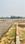Aranya city Main Image 1
