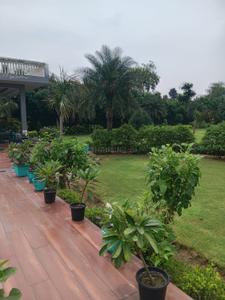 Image of 9072 Sq.ft Residential Plot / Land for sale in Dkrrish Green Beauty Farms, Sector 135, Noida for Rs. 9000000