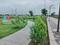 Mamta Golden Valley Main Image 1
