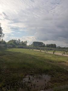 Image of 900 Sq.ft Residential Plot / Land for sale in Clement Town, Dehradun for Rs. 2000000