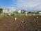 Siddhartha Nagar, Wagholi Plot View 2