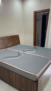 Bedroom Image of 1000 Sq.ft 2 BHK Apartment / Flat for rent in Mansarovar Extension Jaipur for Rs. 25000