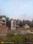 Raipur Green Main Image 1