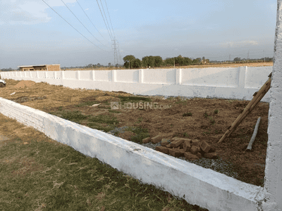 Vrindavan colony Plot View 2