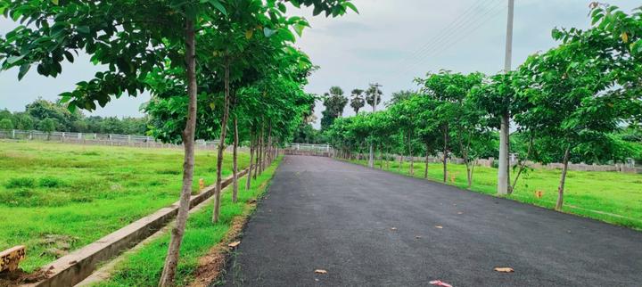 Venugopalapuram Main Image 1