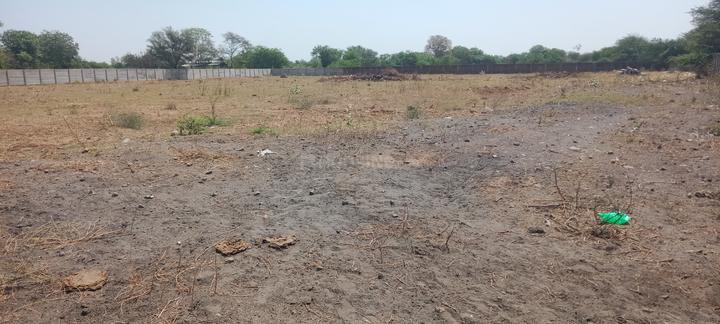 Kanbha Main Image 1