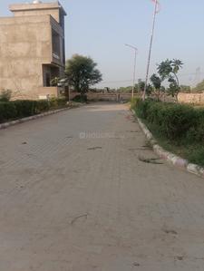 JDA Colony Plot View 2