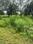 prakurti Plot View 2