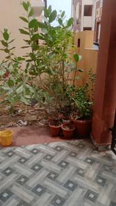 Balcony Image of 1290 Sq.ft 2 BHK Independent House for sale in Mopka Bilaspur for Rs. 4750000