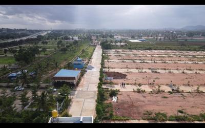 Felicity Plot View 3