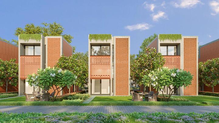 Krupal Anand Main Image 1