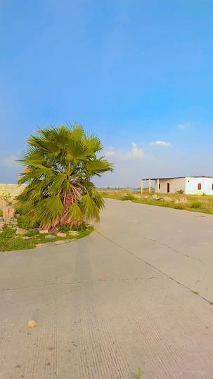 Extraan Orchid Park Main Image 1