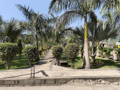 Image of 587 Sq.ft Residential Plot / Land for sale in Daldal Seoni, Raipur for Rs. 1819700