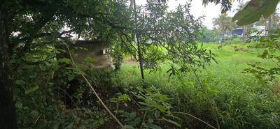 Cherpu Plot View 1