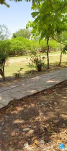 Block H Plot View 1