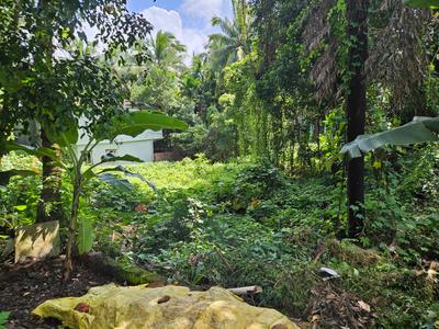 Image of 472 Sq.ft Residential Plot / Land for sale in Parra, Goa for Rs. 35400000