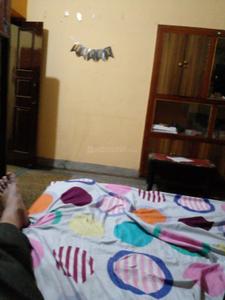 Bedroom Image of 1000 Sq.ft 3 BHK Builder Floor for rent in Lalpur Ranchi for Rs. 12000