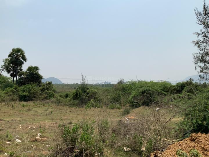 San Euphoria Phase 2 Main Image 1