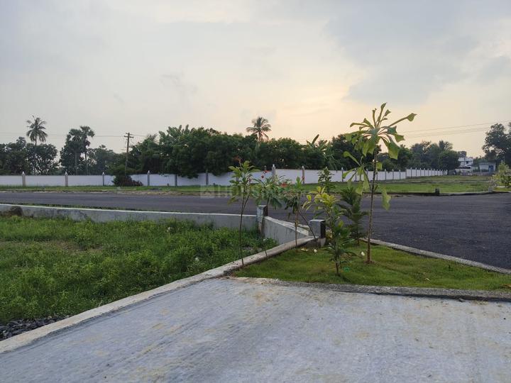 Venus city Main Image 1