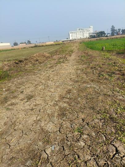 Sarfabad beldarichak Main Image 1