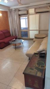 Hall Image of 1350 Sq.ft 3 BHK Apartment / Flat for rent in O C S Apartments, Mayur Vihar Phase 1 New Delhi for Rs. 45000