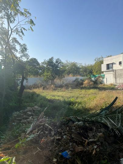 Basant Bahar 3 Main Image 1