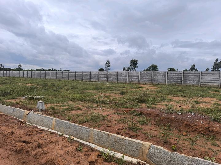 Telecom layout Main Image 1