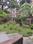 Bally Khal Main Image 1