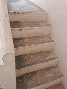 Image of 700 Sq.ft 1 BHK Builder Floor for rent in Selaiyur, Chennai for Rs. 13000