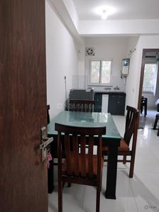 Living Room Image of 750 Sq.ft 1 BHK Apartment / Flat for rent in Rathi Hare Krishna Residency, Instrumentation Limited Colony Kota for Rs. 14000