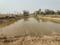 Rampur Main Image 1
