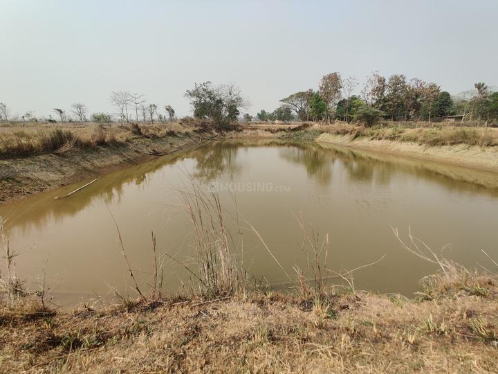 Rampur Main Image 1