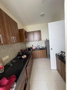Kitchen Image of 1928 Sq.ft 3 BHK Apartment / Flat for sale in Godrej Frontier, Sector 80 Gurgaon for Rs. 17900000
