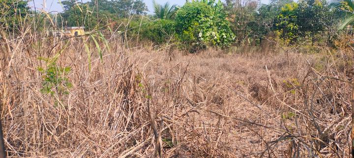 Mont Vert Vesta Main Image 1