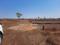 Sejbahar Main Image 1