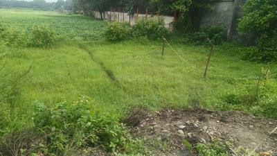 Image of 600 Sq.ft Residential Plot / Land for sale in Chintaman Jawasiya, Ujjain for Rs. 2000000