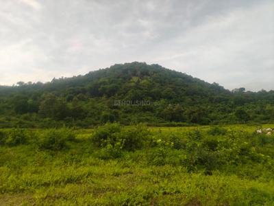 Residential Plot