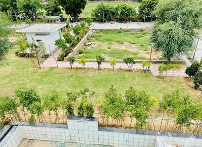 Residential Plot