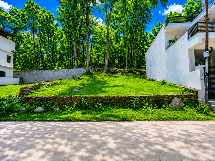 Sinaula Main Image 1