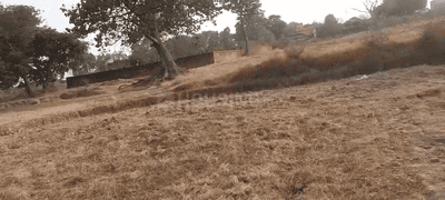Namkum Plot View 2