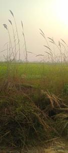 Yeida Plot View 3